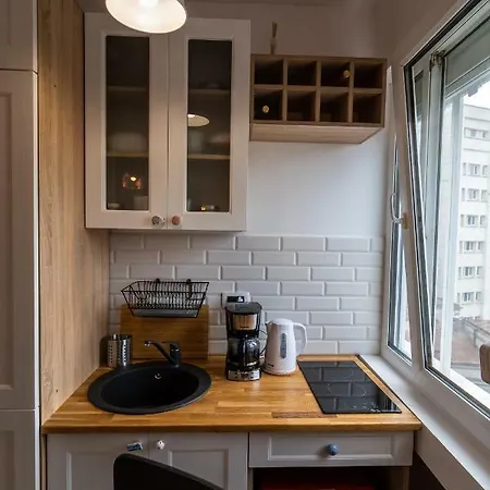 Charming Brutus Flat Near Old Town Bukarest
